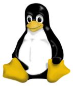 linux12 Linux Options for Small Businesses