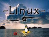linux121 Merits of Linux Web Hosting