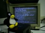 linux57 Top Ten Concepts for Linux Beginners   Number 2, Directories