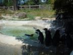 linux67 The Top Ten Reasons for Learning Linux, Number 4 Enhanced Virus Resistance