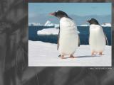 Linux26 Acer aspire One (linux)