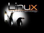 Linux47 Linux India Web Hosting
