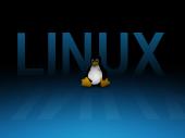 Linux5 Access Control Restrictions: Best Practices on a Linux Server
