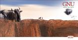 linux6 Linux Operating System Pros and Cons